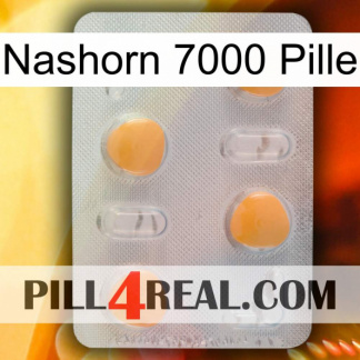 Rhino 7000 Pill 24